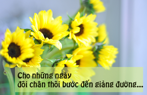 Tạm biệt tháng 7