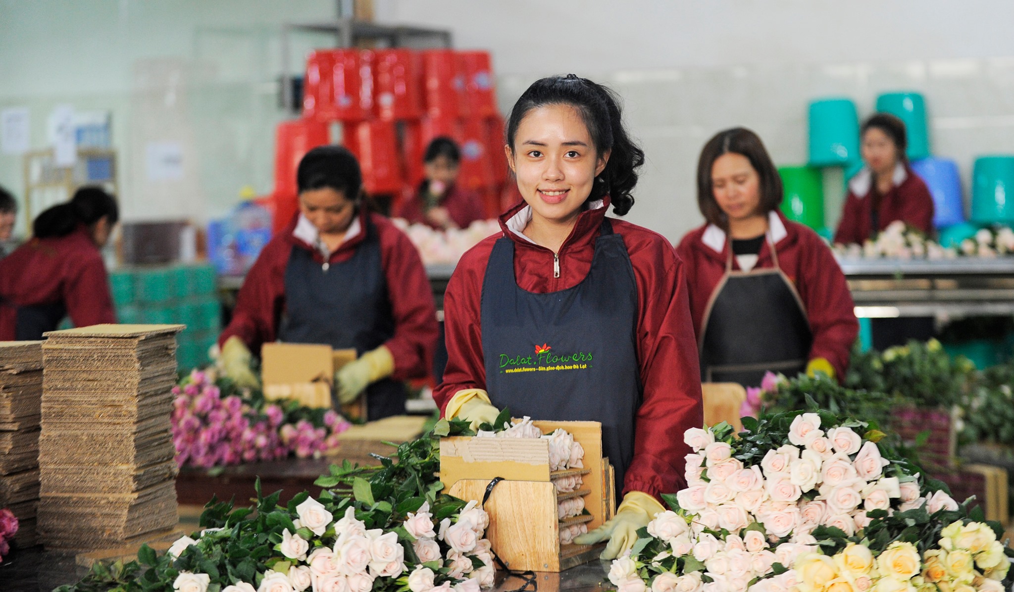 Sàn giao dịch hoa Dalat