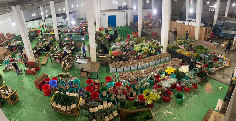 Sàn giao dịch hoa Dalat
